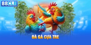 Đá Gà Cựa Tre