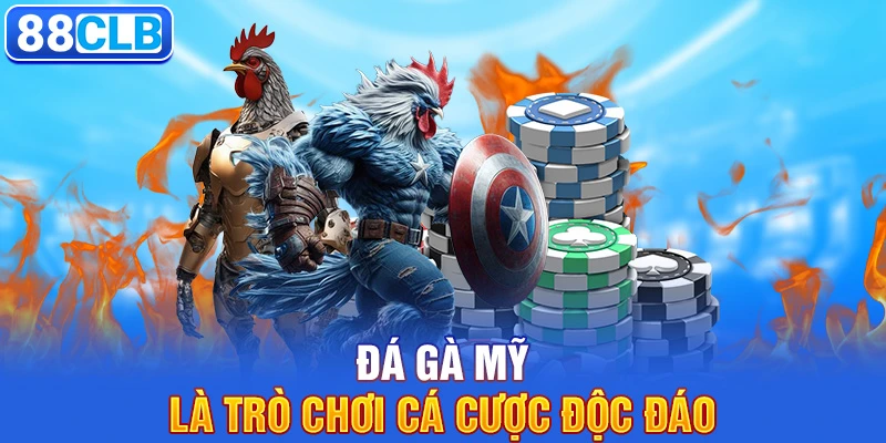 Đá gà mỹ là trò chơi cá cược độc đáo