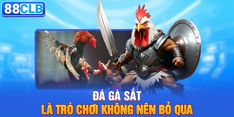 Đá gà sắt là trò chơi không nên bỏ qua