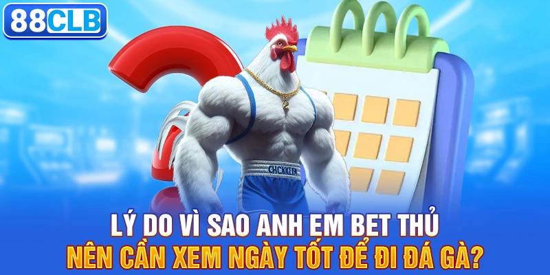 Lý do vì sao anh em bet thủ nên cần xem ngày tốt để đi đá gà?