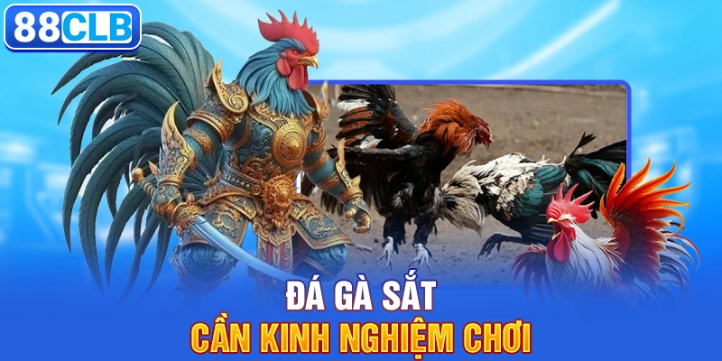 Đá gà sắt cần kinh nghiệm chơi