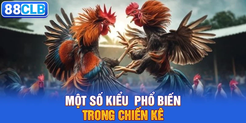 Một số kiểu  phổ biến trong chiến kê