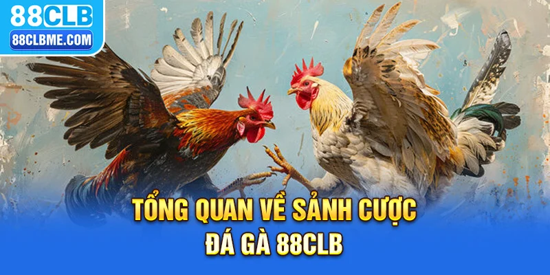 ĐÁ GÀ 88CLB 1 Tổng quan về sảnh cược đá gà 88CLB